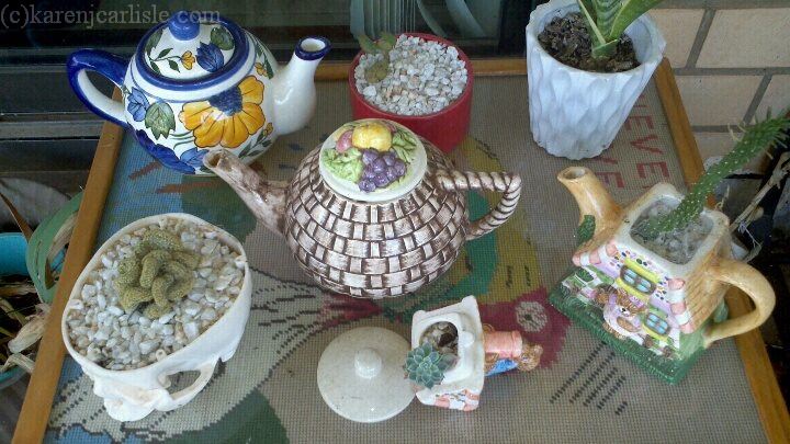 succulent tea pots_copyright2014KarenCarlisle
