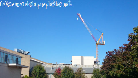 150106 crane above WEA